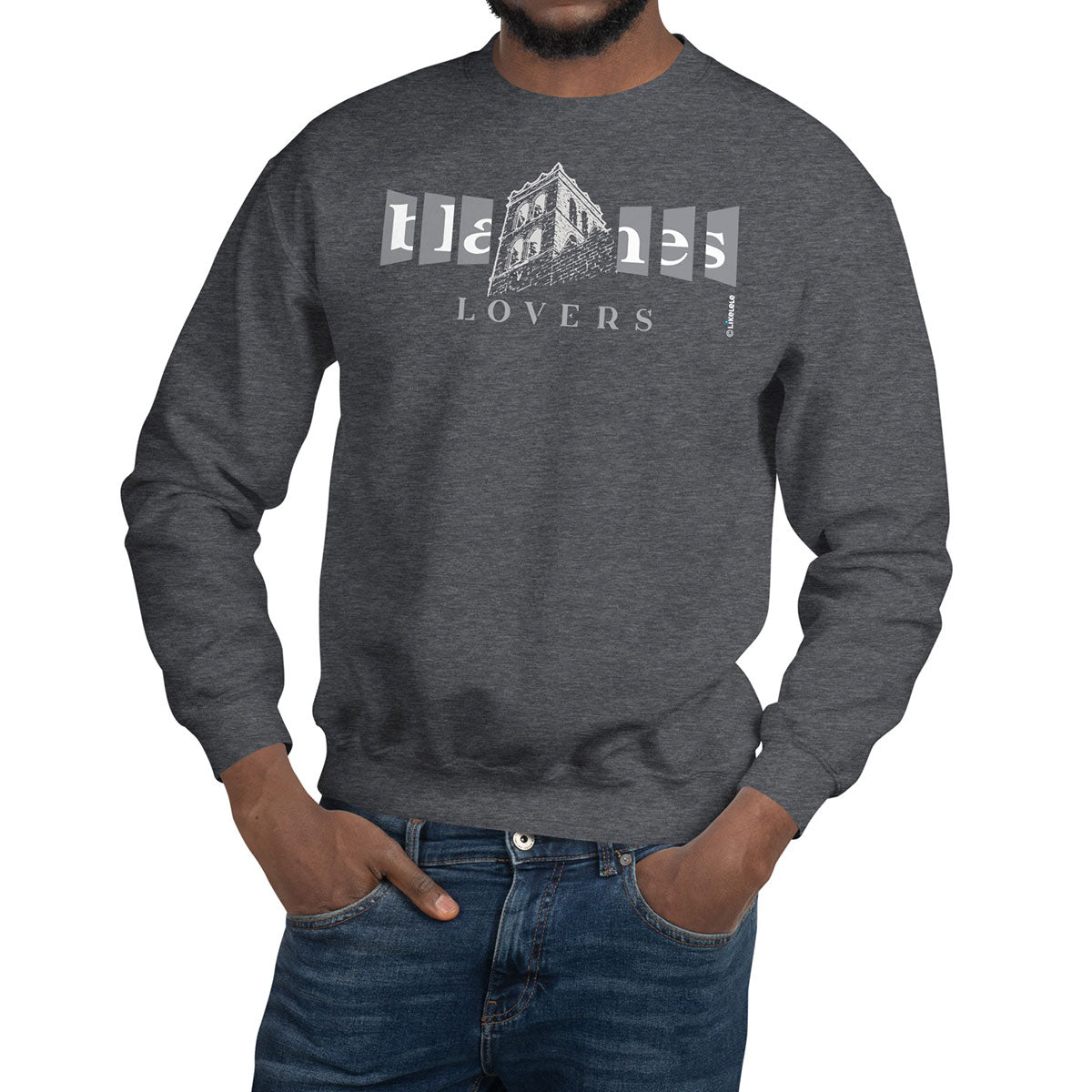 BLANES Campanar · Sudadera·Hombre/Unisex · Basic·Dark Heather-222c1f