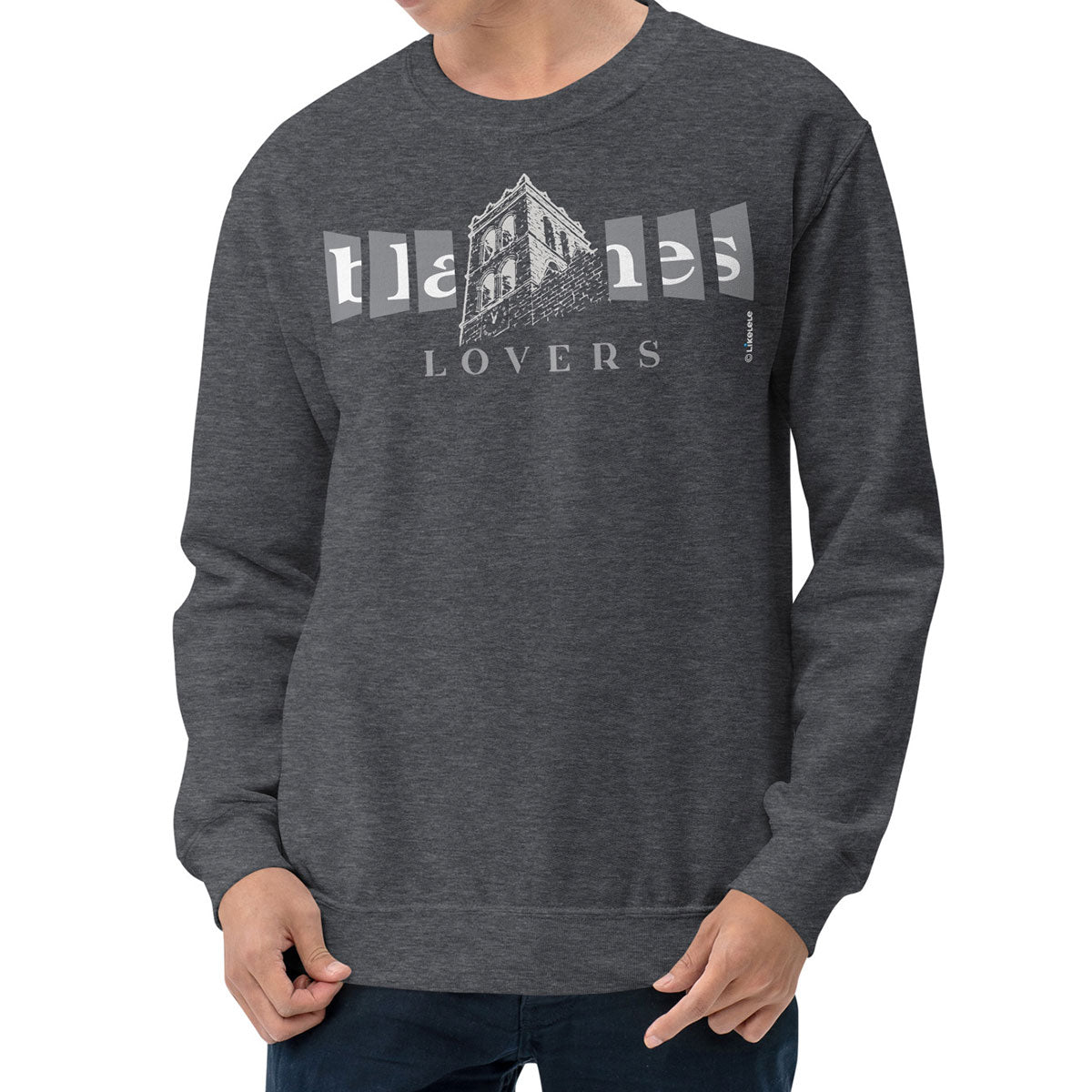 BLANES Campanar · Sudadera·Hombre/Unisex · Basic·Dark Heather-222c1f