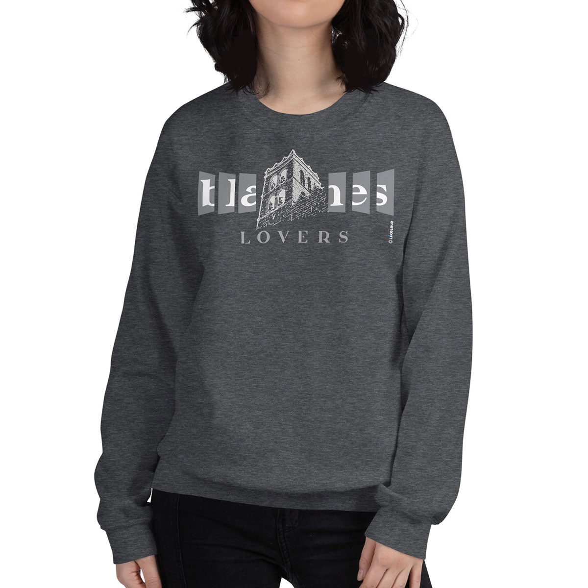 BLANES Campanar · Sudadera·Mujer/Unisex · Basic·Dark Heather-222c2f