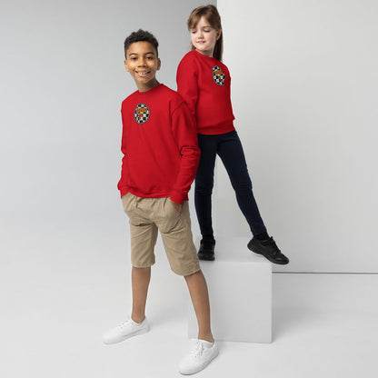 SHERPA T · Sudadera·Niño · BASIC·Red-432b3f